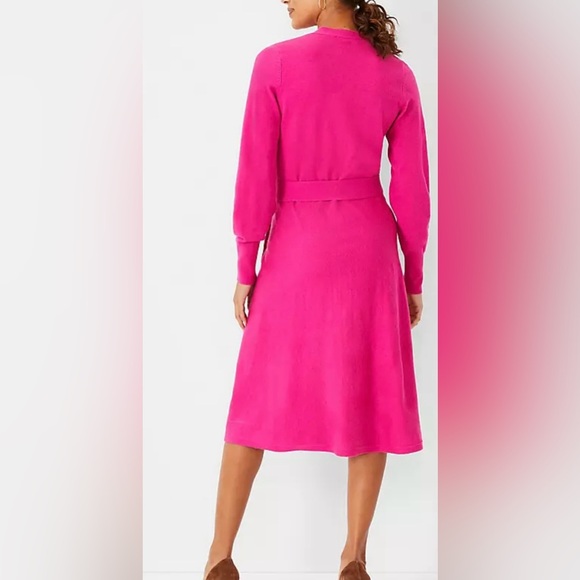 Ann Taylor Button Front Belted Flare Sweater Dress - Picture 2 of 2